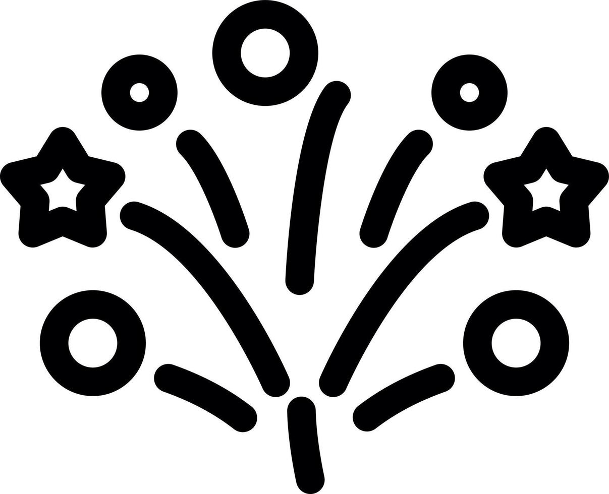 Fireworks Line Icon vector