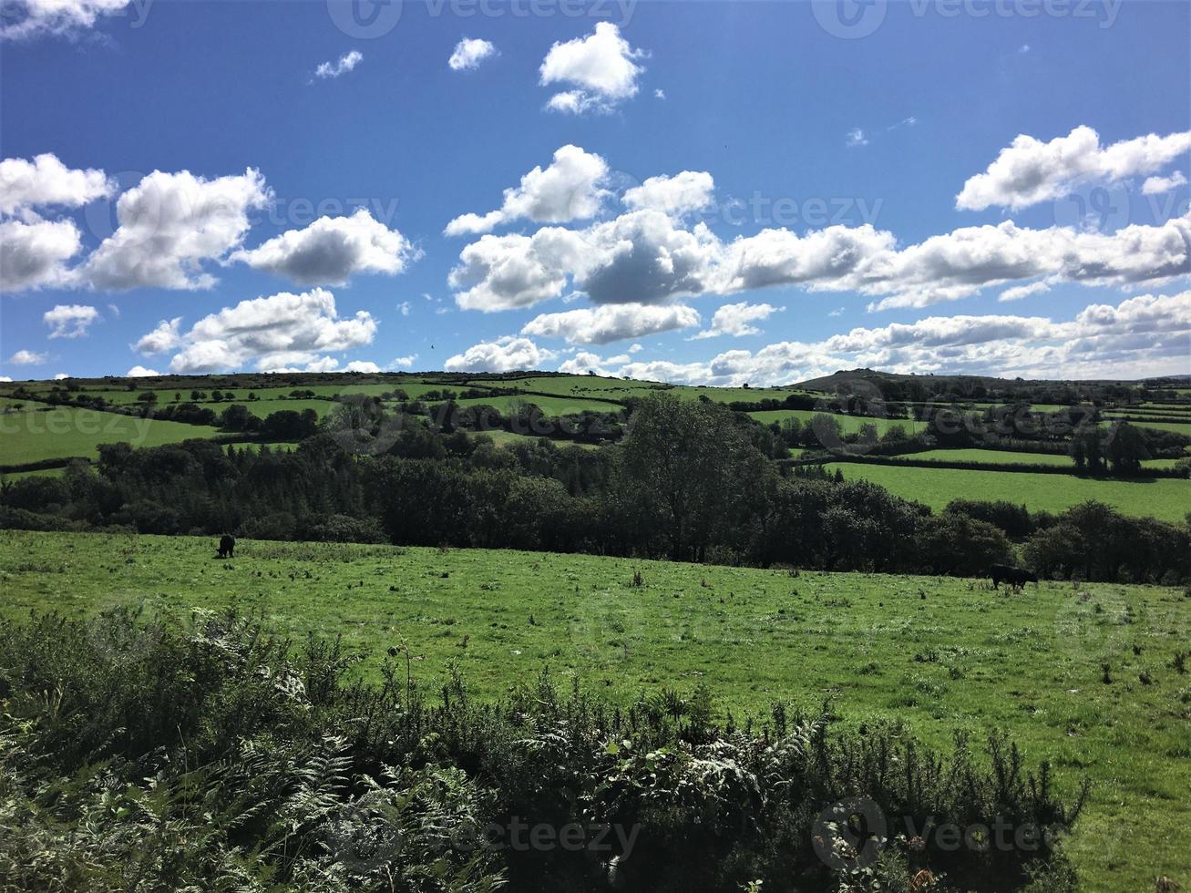 A view of Dartmoor National park in Devon from the summit photo
