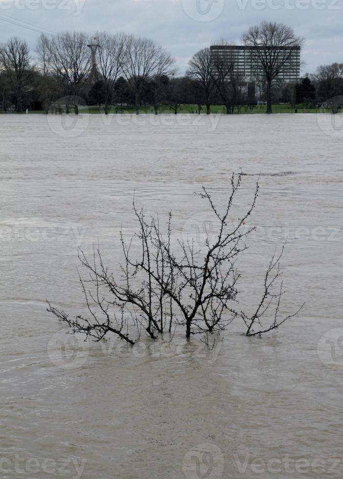 Climate change and extreme weather - flooded area in Dusseldorf, Germany photo