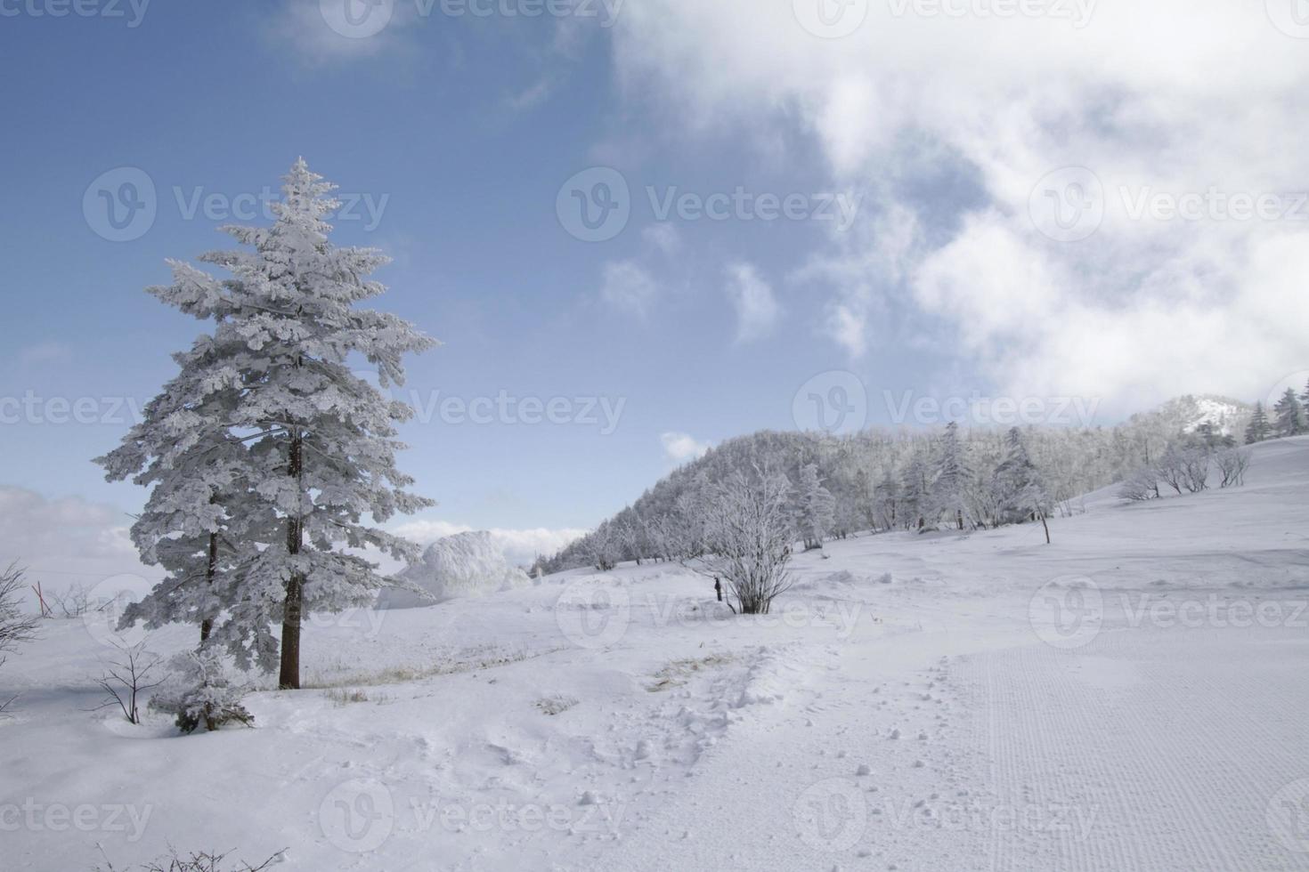 In the snowy mountains near Kusatsu Onsen, Japan photo