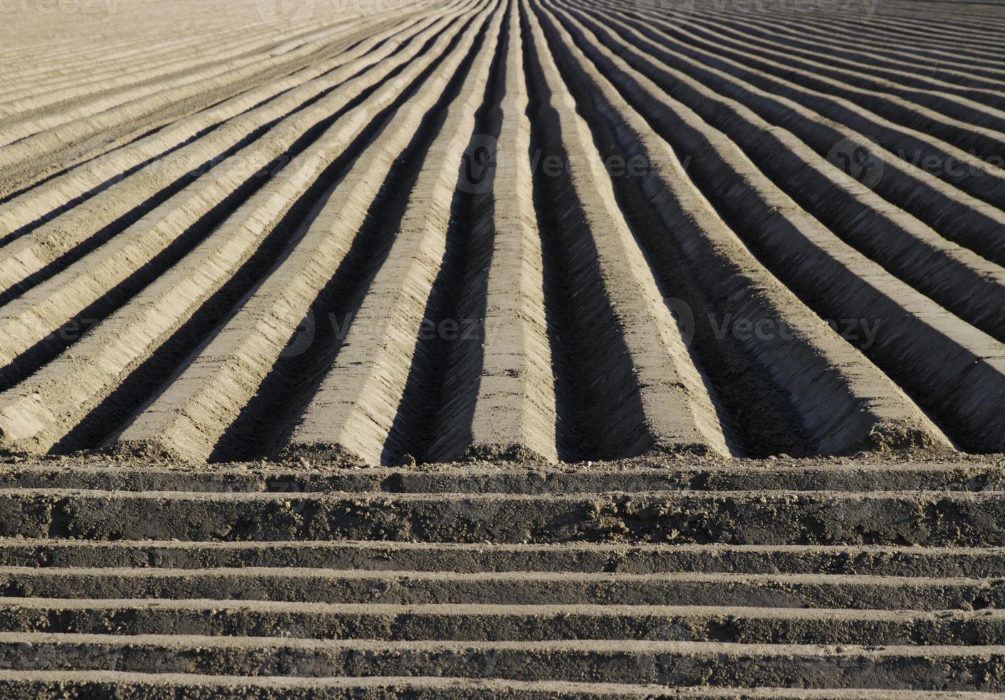 Straight patterns on a cultivated agricultural field photo