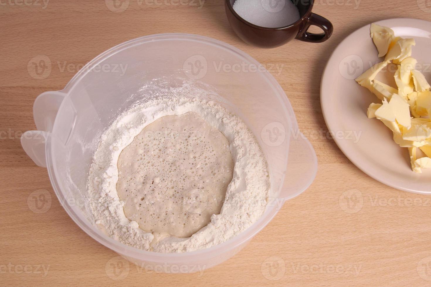 pre-ferment in bowl photo