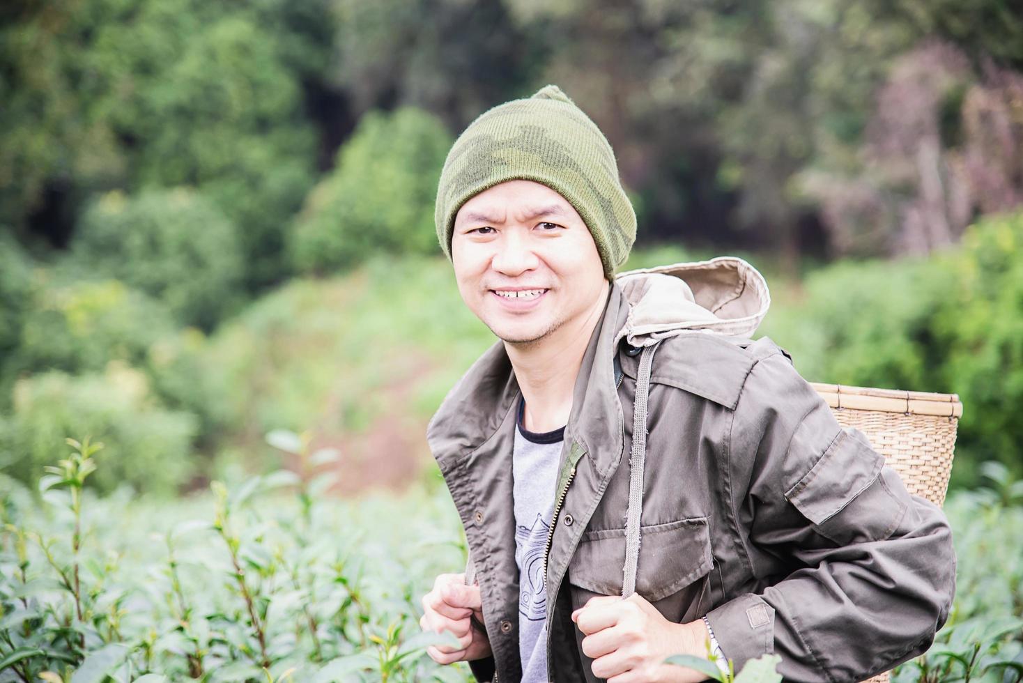 Cosecha del hombre: recoger hojas de té verde frescas en el campo de té de las tierras altas en chiang mai, tailandia, gente local con agricultura en el concepto de naturaleza de las tierras altas foto