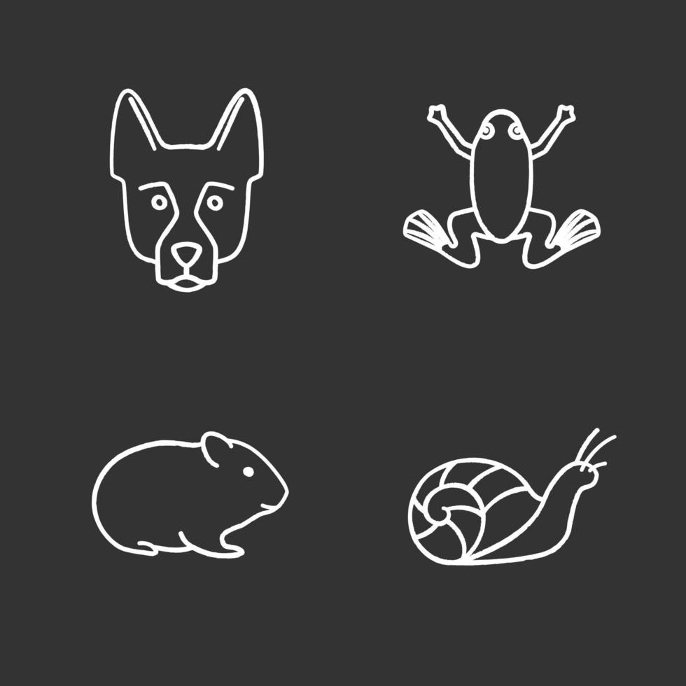 Pets chalk icons set. German Shepherd, frog, hamster, snail. Isolated vector chalkboard illustrations