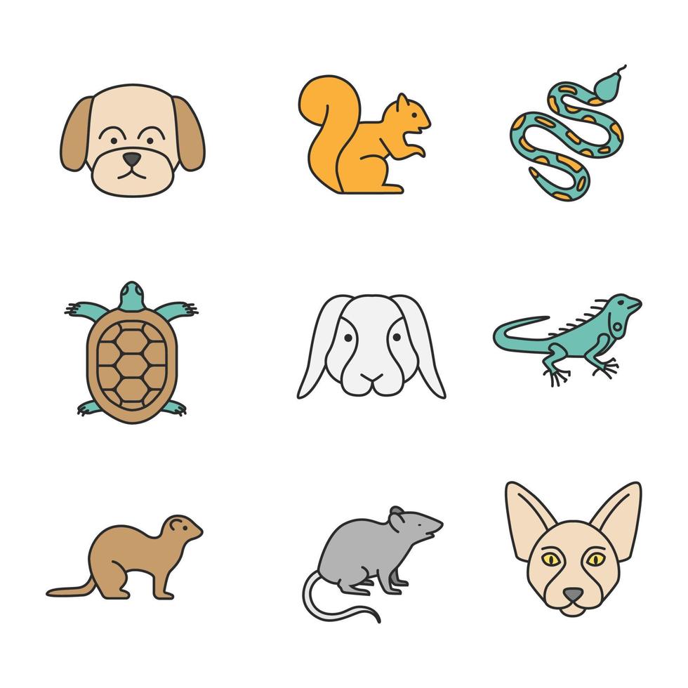 conjunto de iconos de colores de mascotas. perro maltés, ardilla, pitón, tortuga, conejo, iguana, hurón, ratón, esfinge canadiense. ilustraciones de vectores aislados