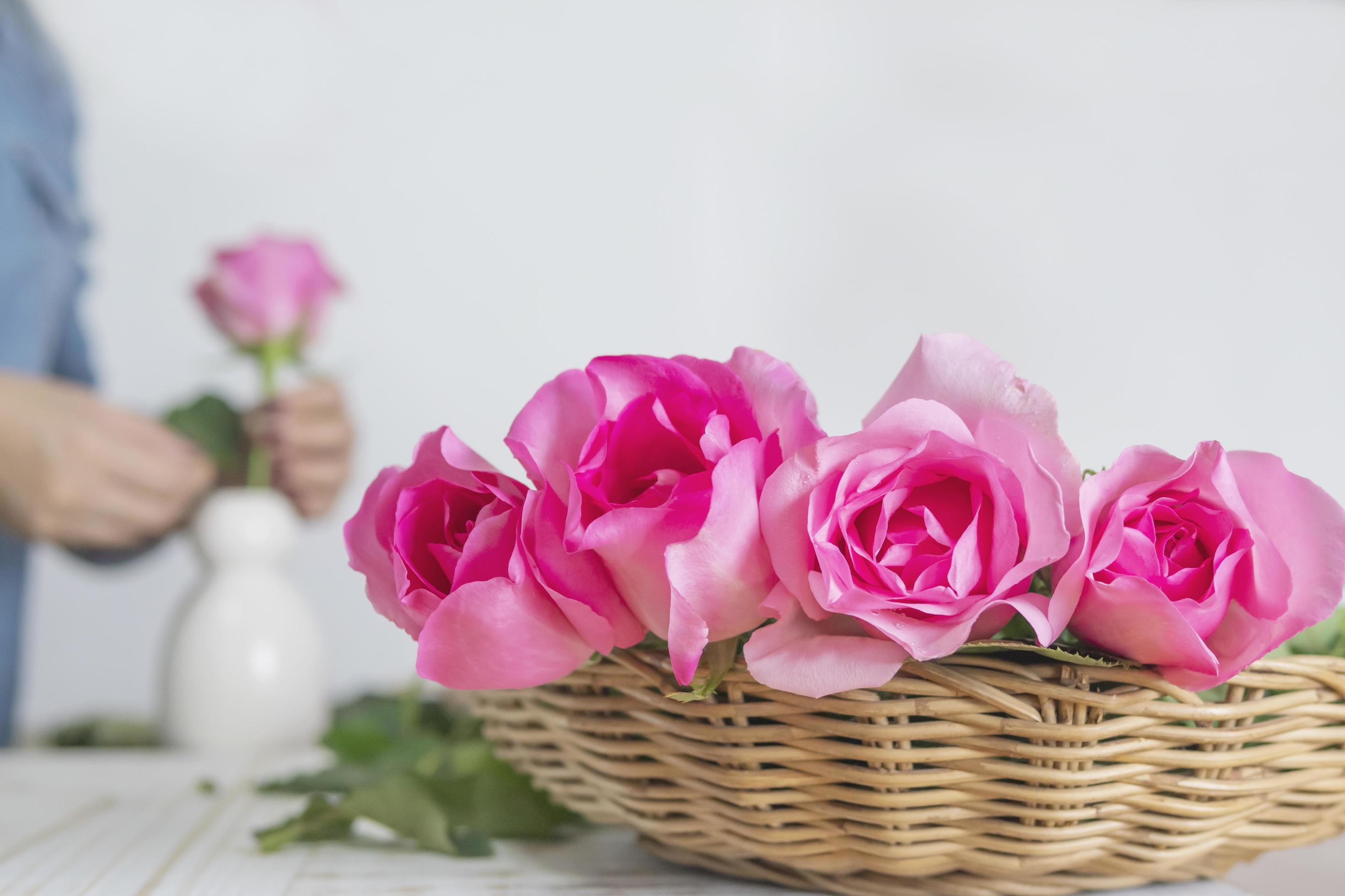 Woman putting pink roses in to white vase happily 8742742 Stock Photo