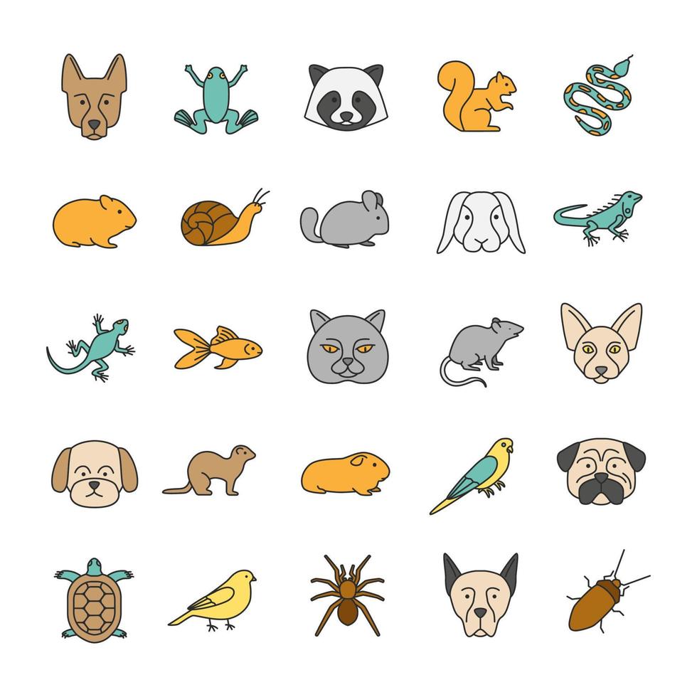 Pets color icons set. Exotic animals. Rodents, birds, reptiles, insects, dogs, cats. Isolated vector illustrations