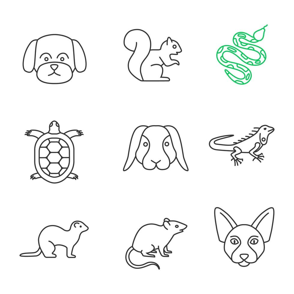 Pets linear icons set. Maltese dog, squirrel, python, tortoise, rabbit, iguana, ferret, mouse, Canadian Sphynx. Thin line contour symbols. Isolated vector outline illustrations