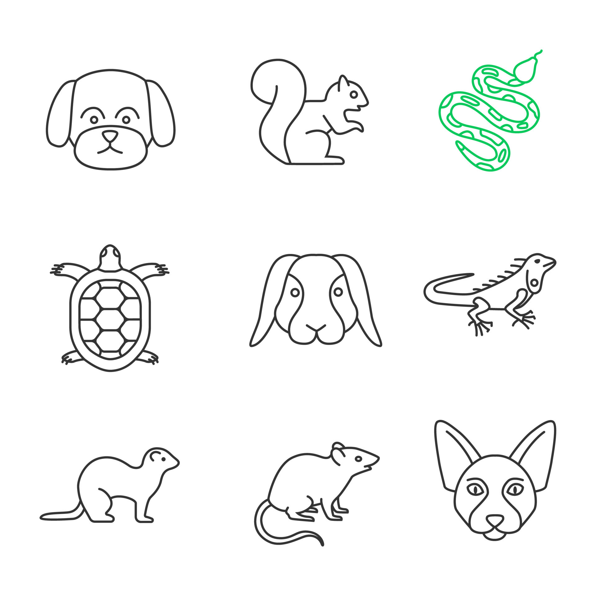 Pets linear icons set. Maltese dog, squirrel, python, tortoise, rabbit ...
