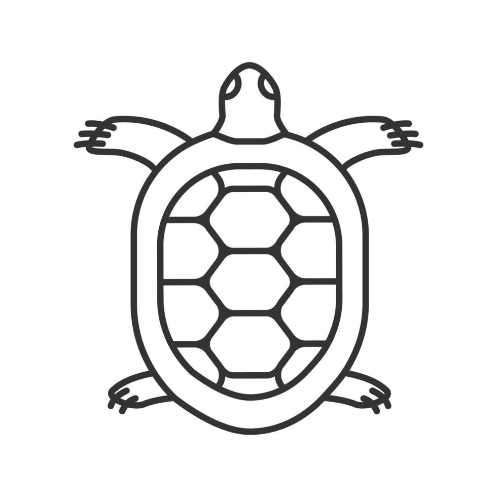 icono lineal de tortuga. ilustración de línea delgada. Tortuga. símbolo de contorno dibujo de contorno aislado vectorial vector