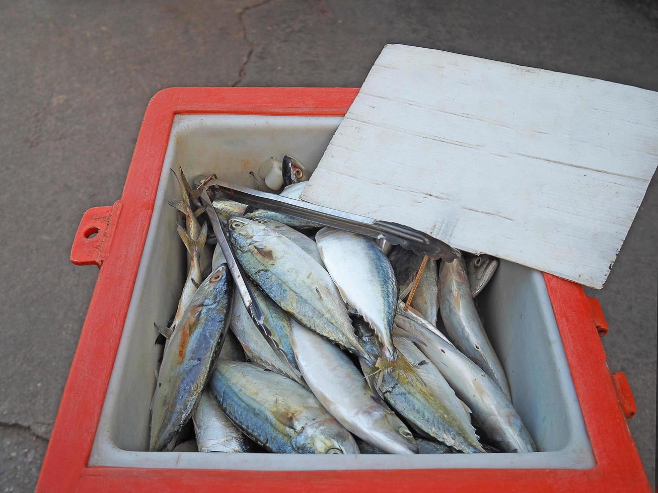 Mackerel fish in bucket for sale in market photo