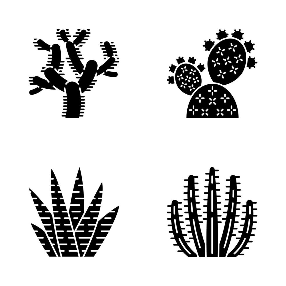 Wild cactus glyph icons set. Green succulents. Exotic mexican flora. Chola, prickly pear, zebra cactus, organ pipe cacti. Silhouette symbols. Vector isolated illustration