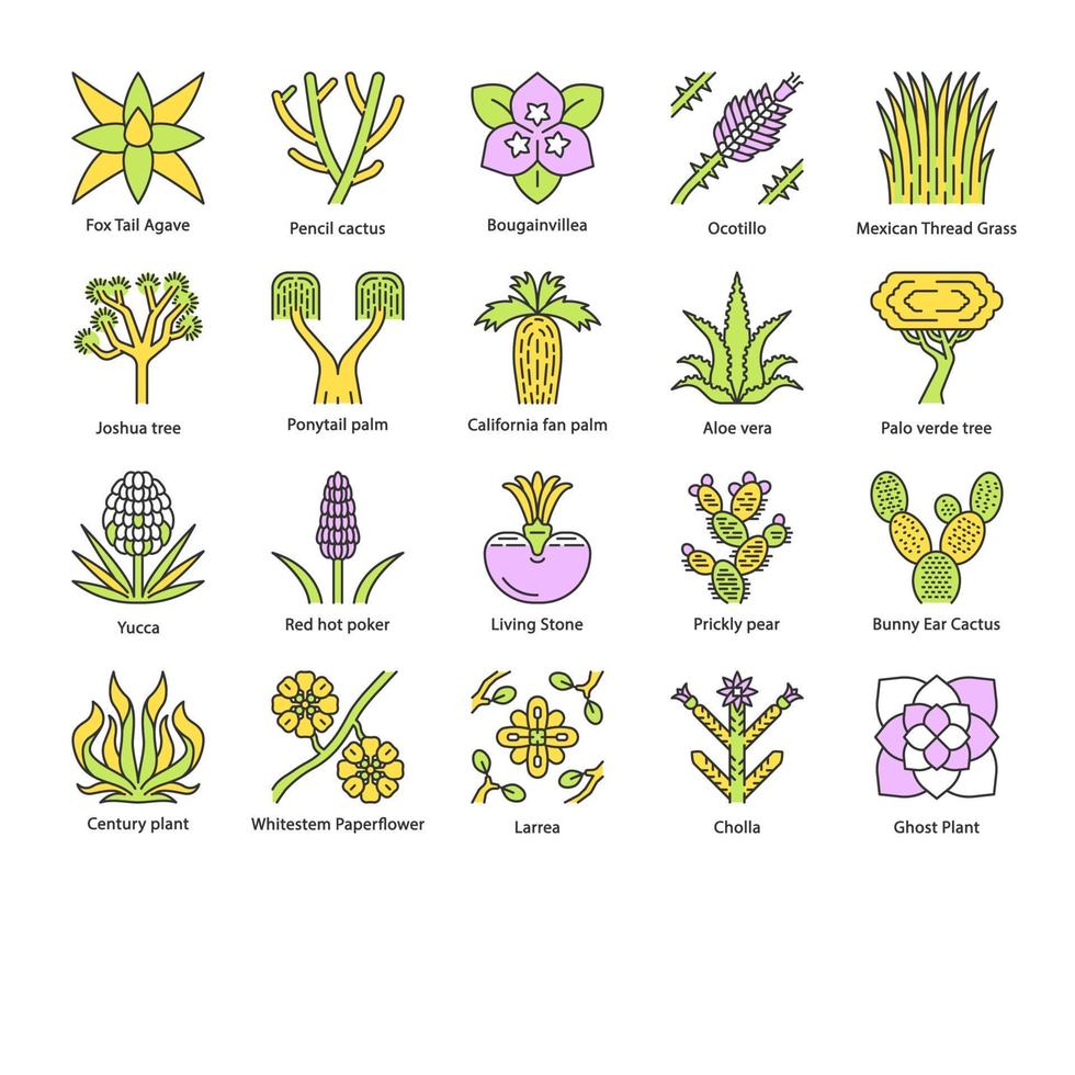 conjunto de iconos de color de plantas del desierto. flora exótica cactus  del desierto de california, hierba y árboles. suculentas americanas y  mexicanas, palmeras. ilustraciones de vectores aislados 8744261 Vector en  Vecteezy