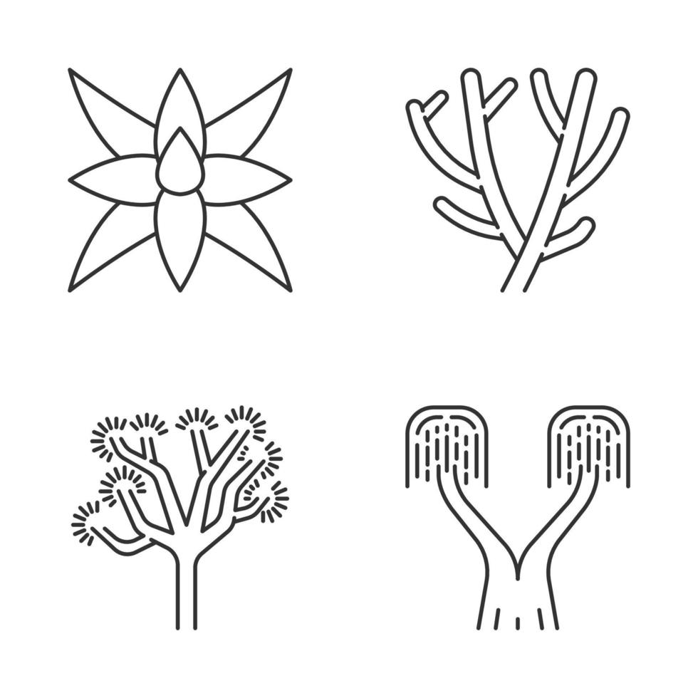 Desert plants linear icons set. Exotic flora. Fox tale agave, pencil cactus, joshua tree, ponytail palm. Thin line contour symbols. Isolated vector outline illustrations. Editable stroke