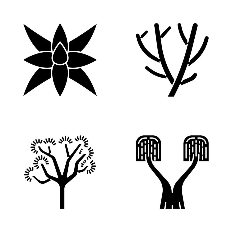 conjunto de iconos de glifo de plantas del desierto. flora exótica agave de cuento de zorro, cactus lápiz, árbol de joshua, palma de cola de caballo. símbolos de silueta. ilustración vectorial aislada vector