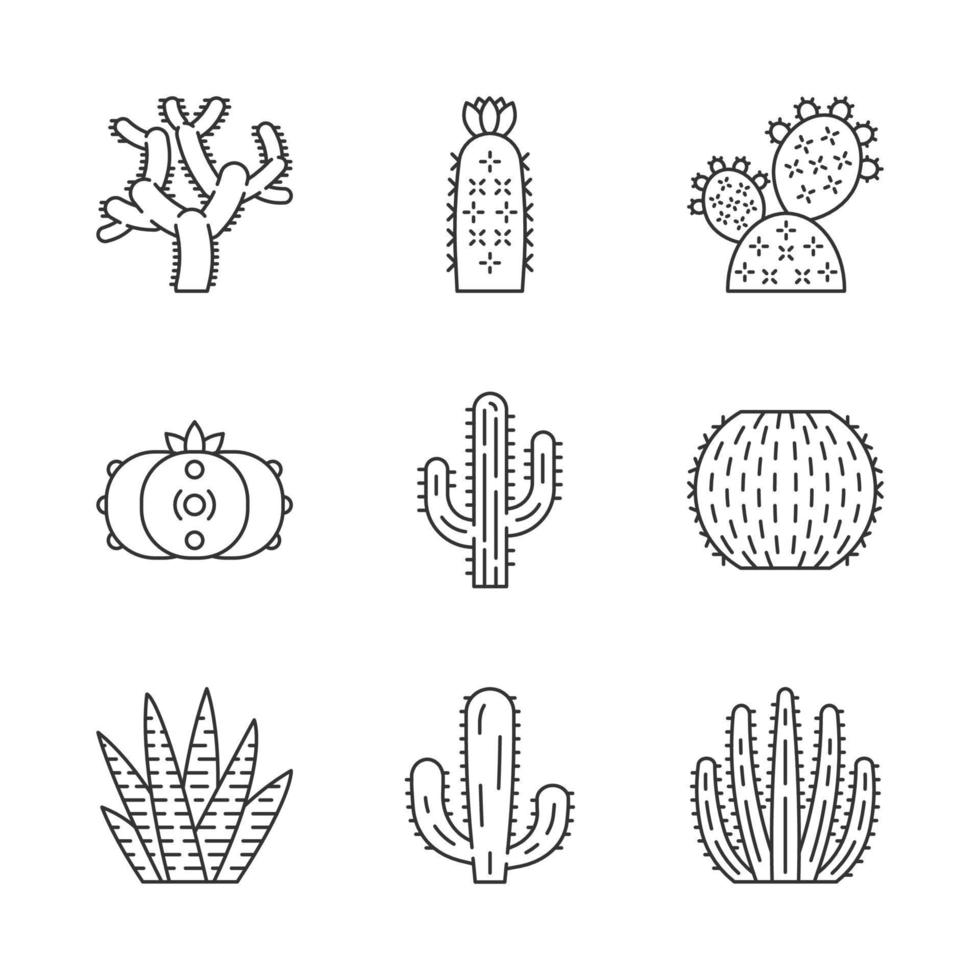 conjunto de iconos lineales de cactus silvestres. flora tropical sudamericana. suculentas plantas espinosas. colección de cactus. símbolos de contorno de línea delgada. ilustraciones aisladas de contorno vectorial. trazo editable vector