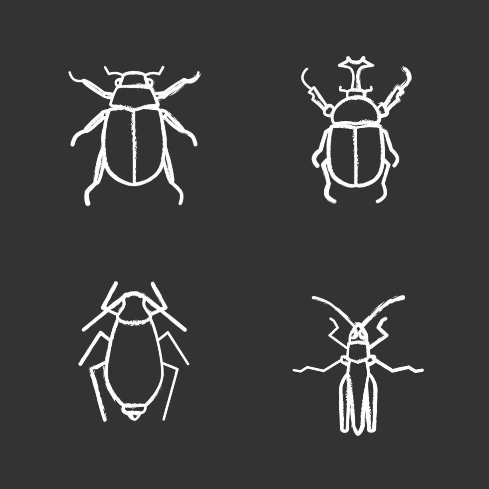 conjunto de iconos de tiza de insectos. chafer, escarabajo hércules, pulgón, saltamontes. Ilustraciones de vector pizarra