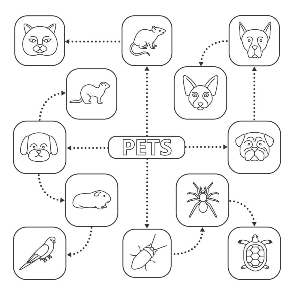 Pets mind map with linear icons. Domestic animals concept scheme. British cat, Canadian Sphynx, German Shepherd, pug, ferret, spider, tortoise, cockroach, parrot, cavy. Isolated vector illustration
