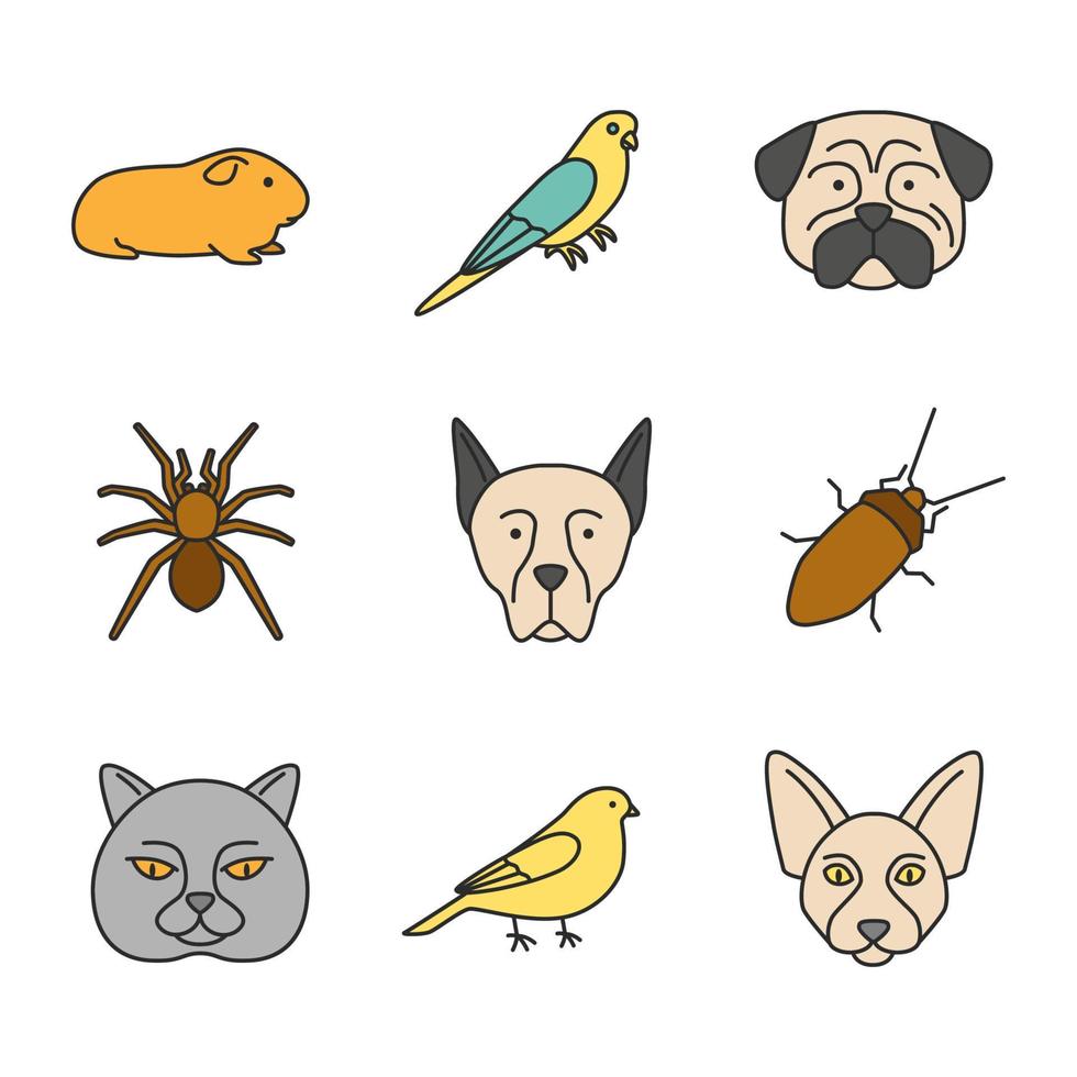 conjunto de iconos de colores de mascotas. cavy, periquito, pug, araña, doberman pinscher, cucaracha, canario, sphynx canadiense, gato británico. ilustraciones de vectores aislados