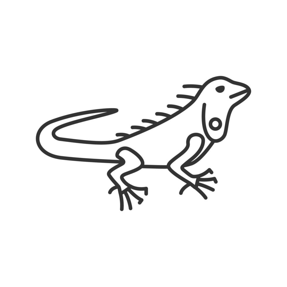 Iguana linear icon. Thin line illustration. Herbivorous lizard. Contour symbol. Vector isolated outline drawing