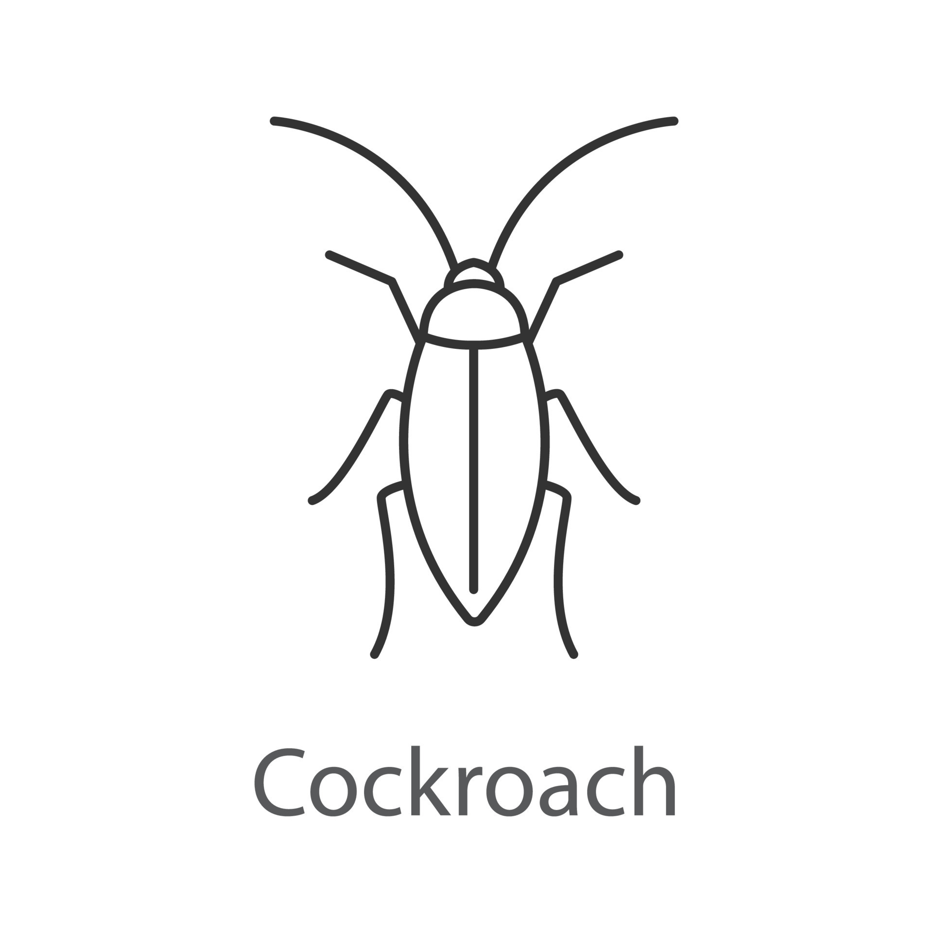 Hand Drawn Sketch Cartoon Illustration Of Cockroach Royalty Free SVG  Cliparts Vectors And Stock Illustration Image 27788417