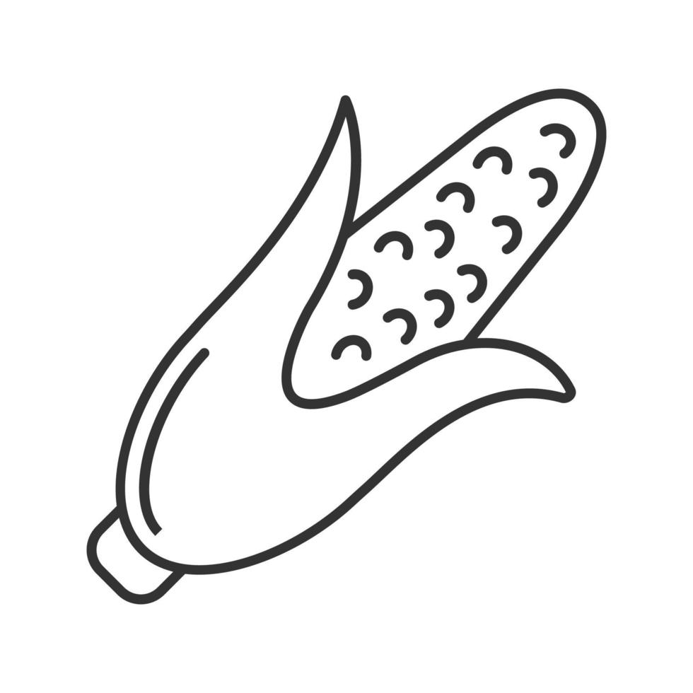 Corn linear icon. Maize. Agriculture. Thin line illustration. Contour symbol. Vector isolated outline drawing