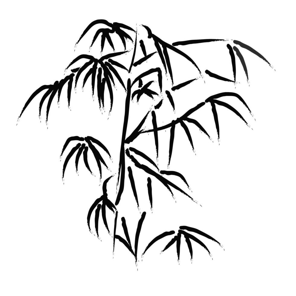 Ink drawing of bamboo on a white background. Isolated. vector