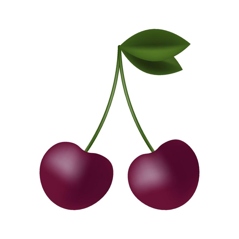 Cherry berries. Isolated drawing for emblem, logo. vector