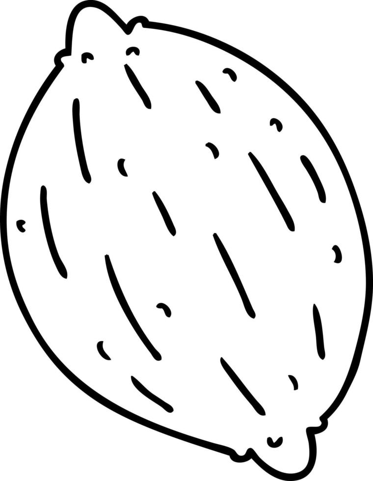 line drawing of a single walnut vector