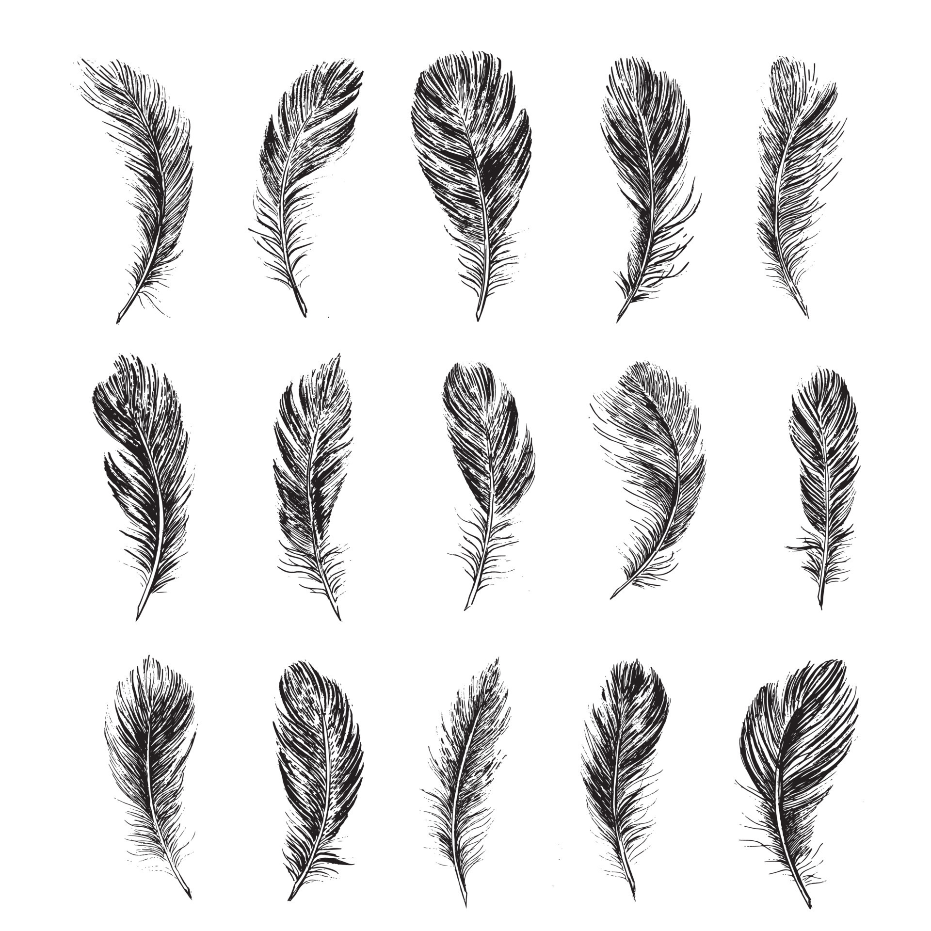 Feathers on white background. Hand drawn sketch style 8749169 Vector ...