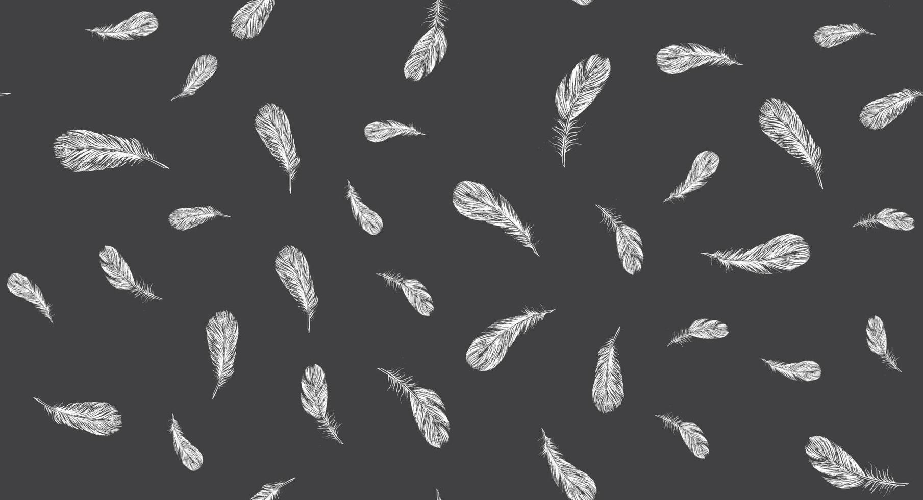 Feathers on white background. Hand drawn sketch style. vector