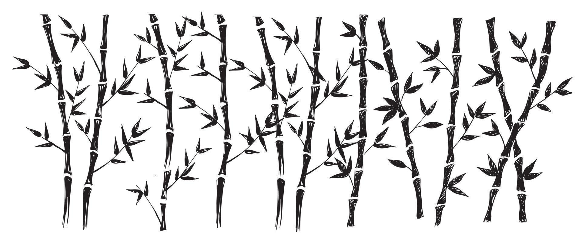 Bamboo tree. Hand drawn style. Vector illustrations.
