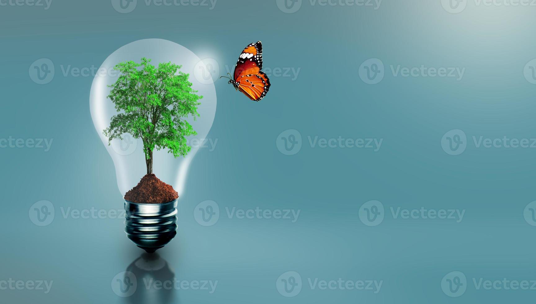 Energy saving, Saving power and Environmental. Copy space. photo