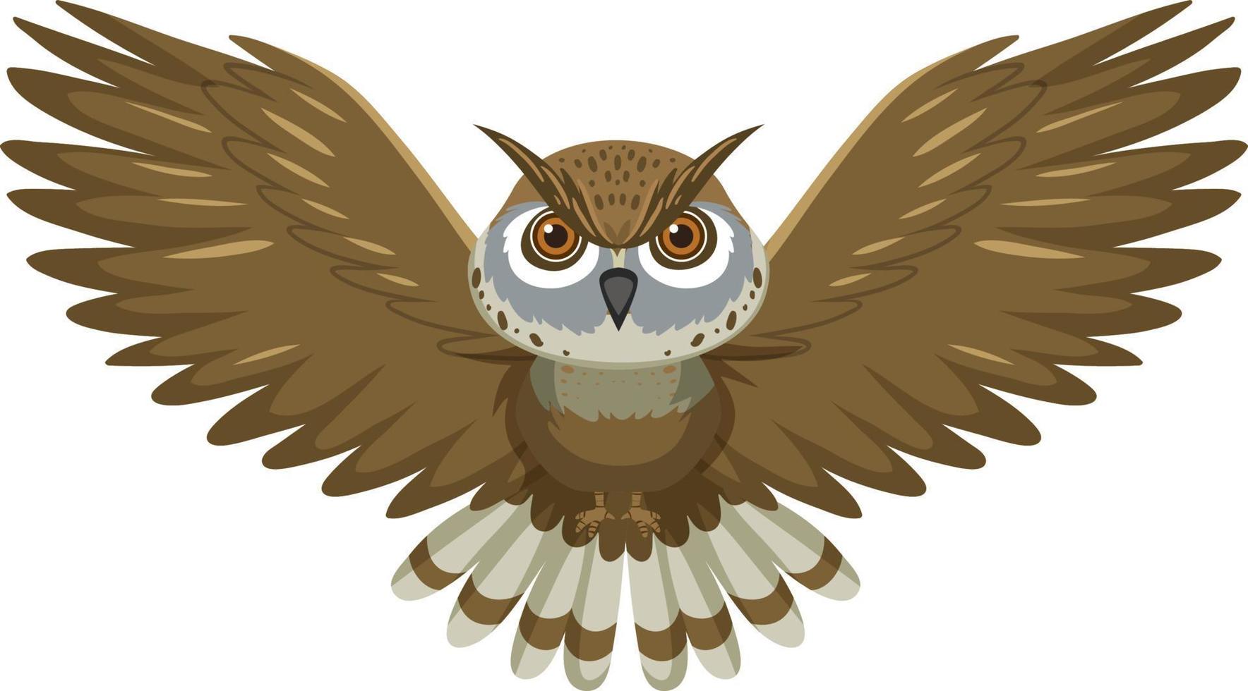 Front of owl flying in cartoon style vector