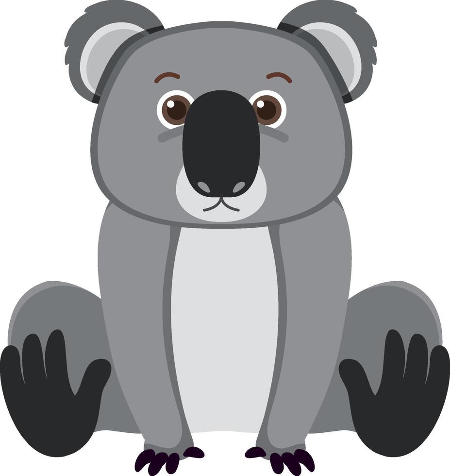 Cute koala in flat style vector