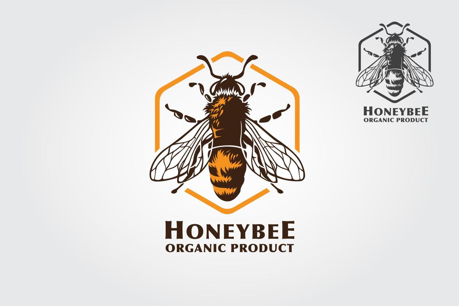 Honey Bee Logo Template. Illustration design for honey insect, logo for organic product. Apiary element, pest insignia or tattoo. Biology and entomology theme. vector