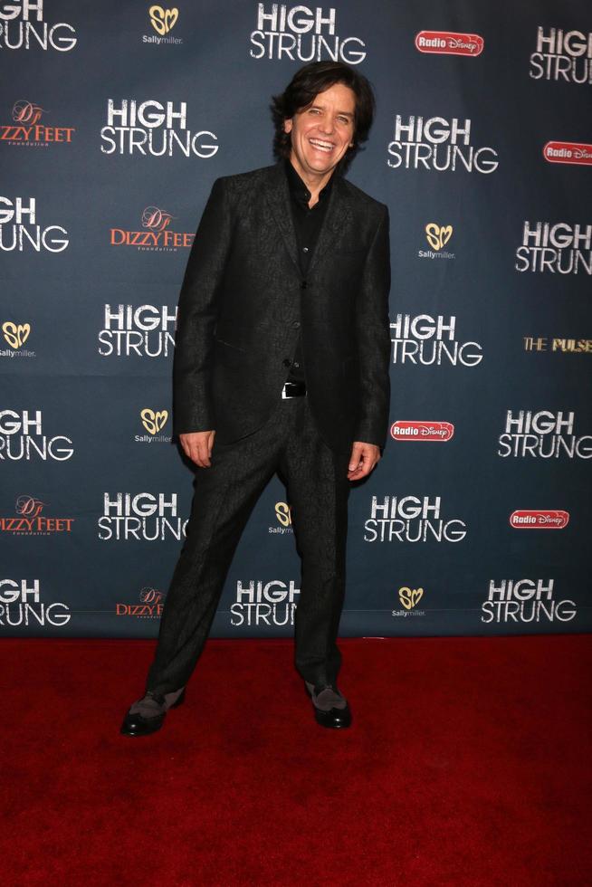 LOS ANGELES, MAR 29 -  Michael Damian at the High Strung Premeire at the TCL Chinese 6 Theaters on March 29, 2016 in Los Angeles, CA photo