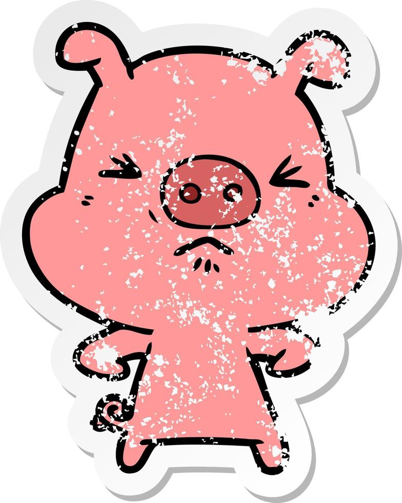 distressed sticker of a cartoon angry pig vector