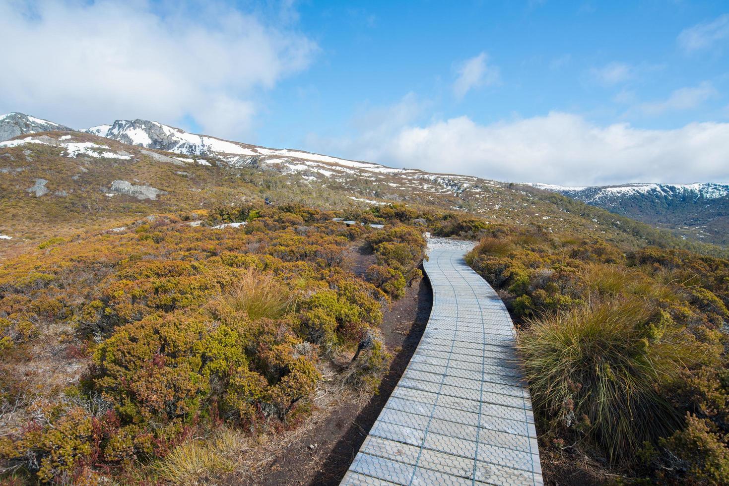 Board walk to the nature in Cradle mountain national park, Tasmania state of Australia. photo