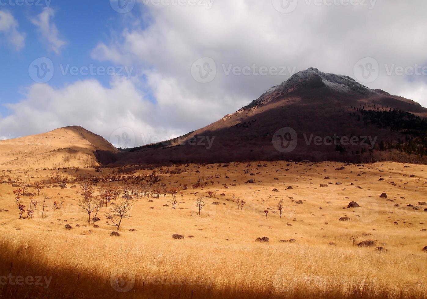 Leaves the mountains and blue sky photo