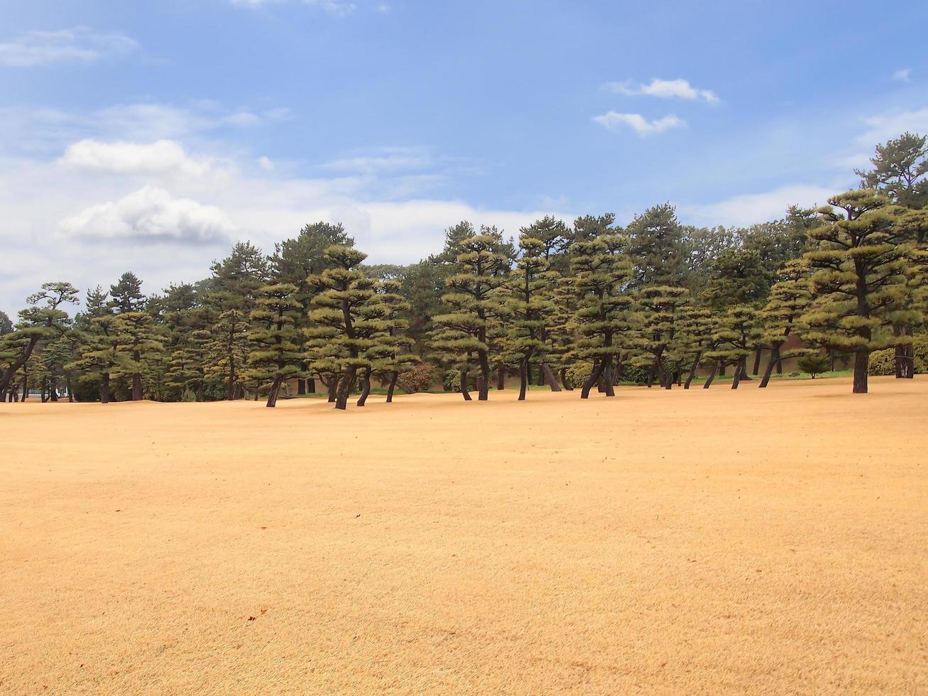 vista del horizonte de tokio desde los jardines exteriores del palacio imperial foto