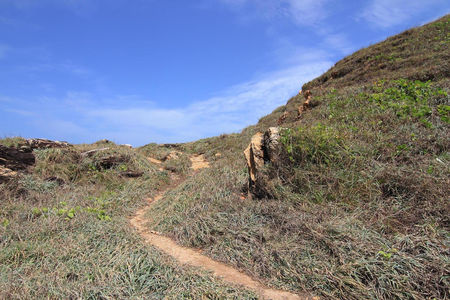 The fields and forests. Landscape photo