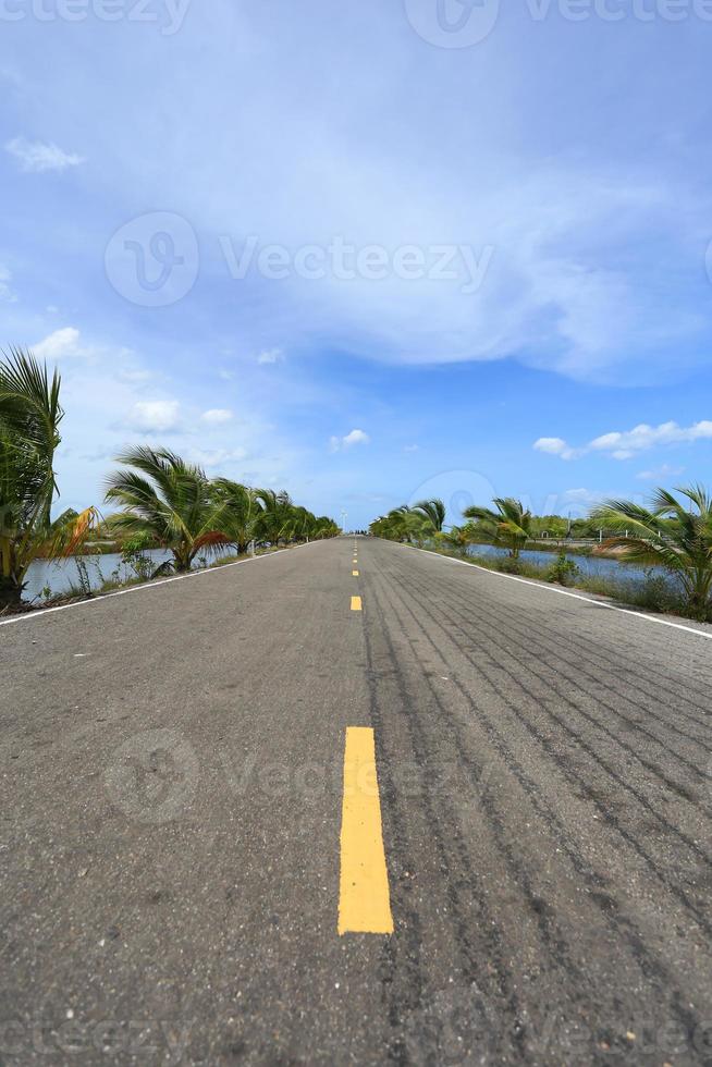 summer landscape with road photo