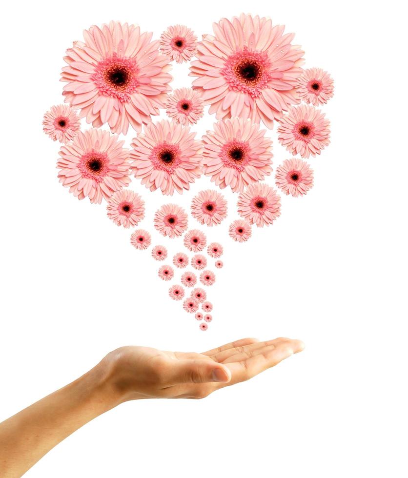 Woman's hand with flowers photo