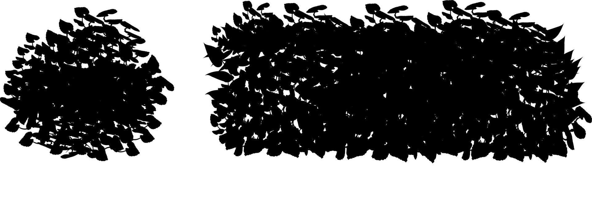 Monochrome vector drawing of bushes.