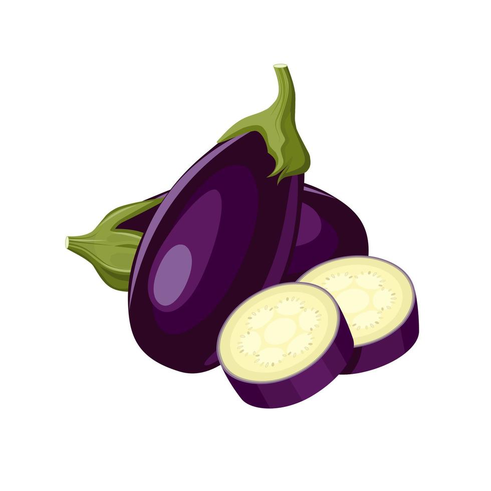 Vector illustration, eggplant or Solanum melongena, isolated on white background, farm produce design.