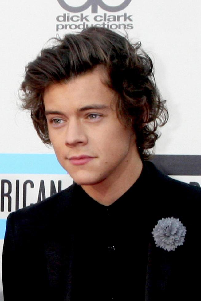 los angeles, 24 de noviembre - harry styles en los 2013 american music awards llegadas al nokia theater el 24 de noviembre de 2013 en los angeles, ca foto