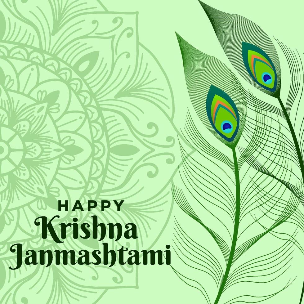 happy krishna Janmashtami illustration with peacock feather vector