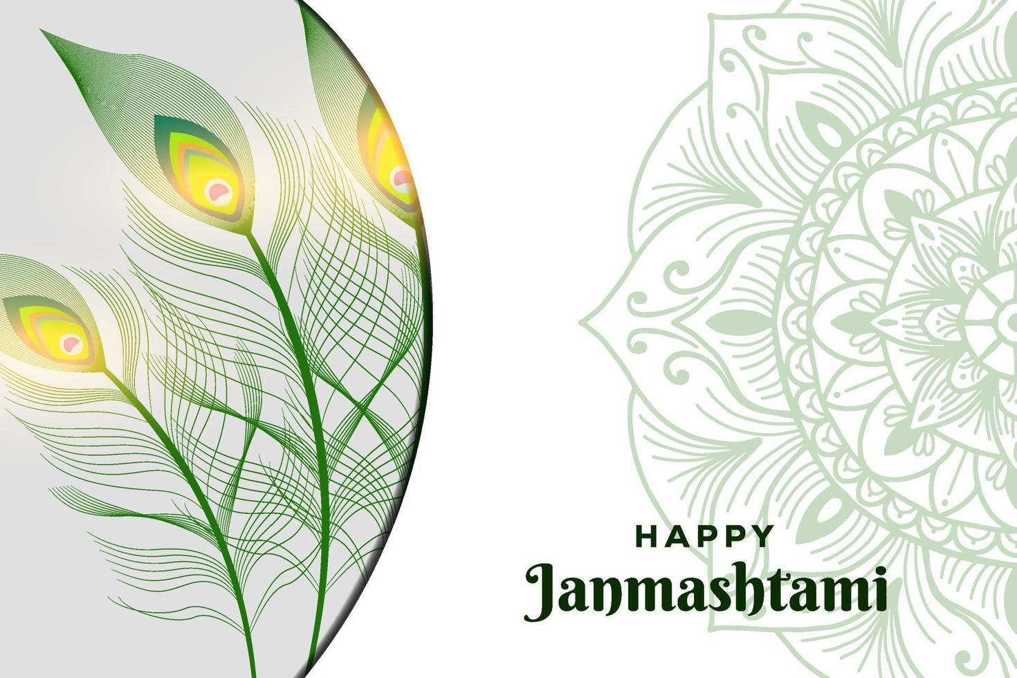 peacock feather background illustration for Janmashtami Festival vector