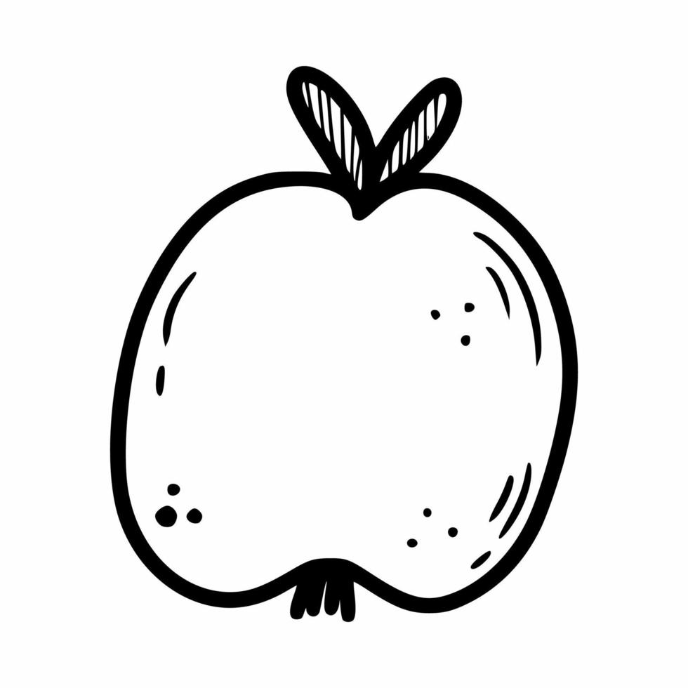 boceto de durazno. ilustración de garabatos vectoriales. fruta sobre fondo blanco. vector